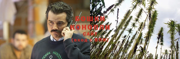 индика Наволоки
