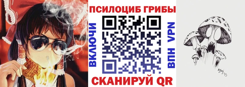 Псилоцибиновые грибы GOLDEN TEACHER  Саки 