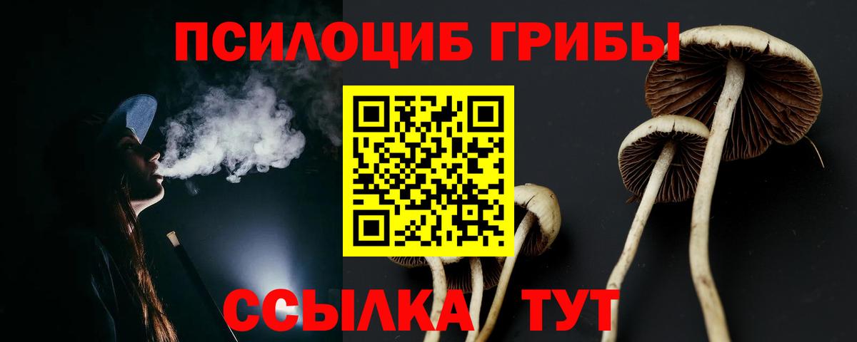Галлюциногенные грибы Magic Shrooms  дарнет шоп  Саки  Вход с VPN 